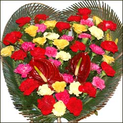"Beauty of Love ( Multi day Hamper) - Click here to View more details about this Product